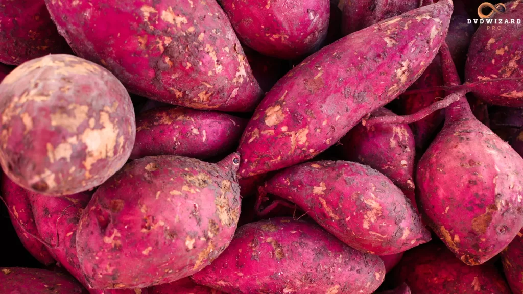 Discover how far did sweet potatoes travel to Texas, transforming into a major crop for sustainable farming and production.